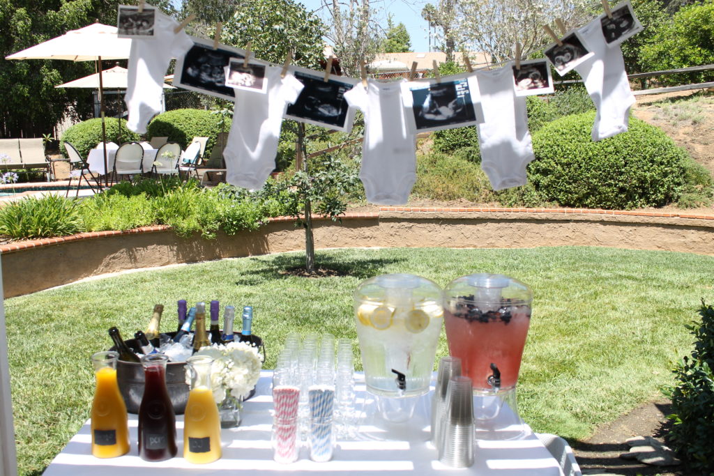 Twin Gender Reveal Party