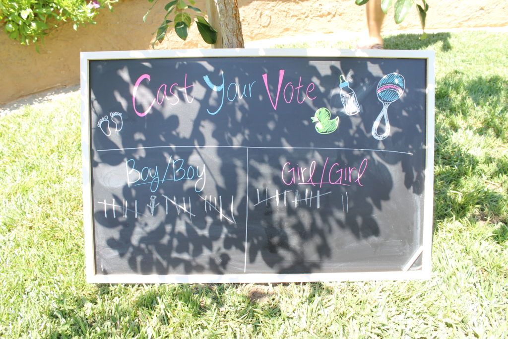 Twin Gender Reveal Party