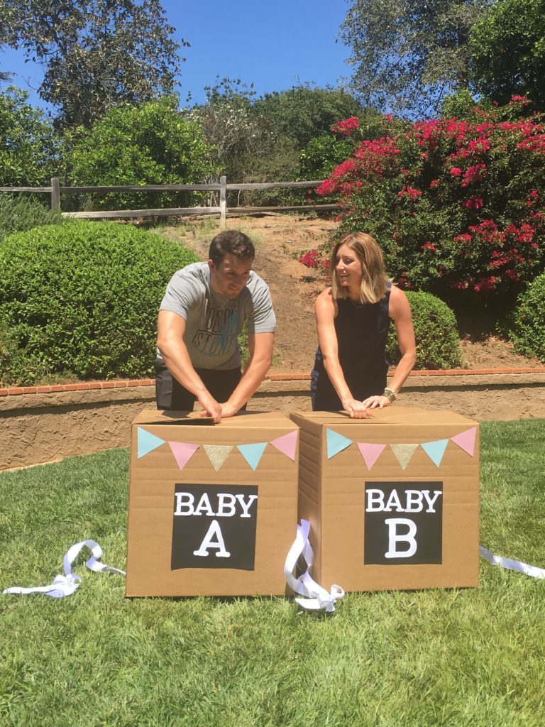Twin Gender Reveal Party