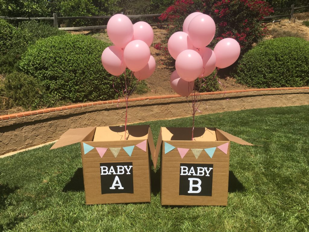 Twin Gender Reveal Party